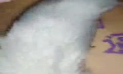 双马尾萌妹mei子跪着玩弄第三部 屁股上写字肛塞插菊花跳蛋震动来姨妈了 很是诱惑喜欢不要错过